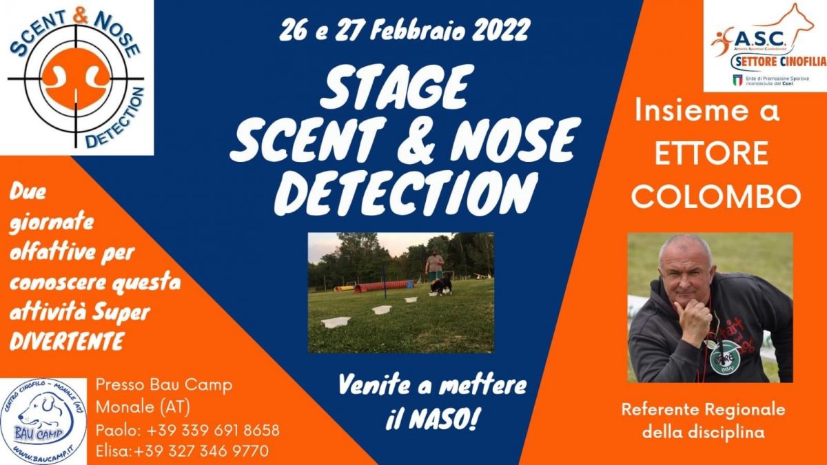Stage scent & nose detection